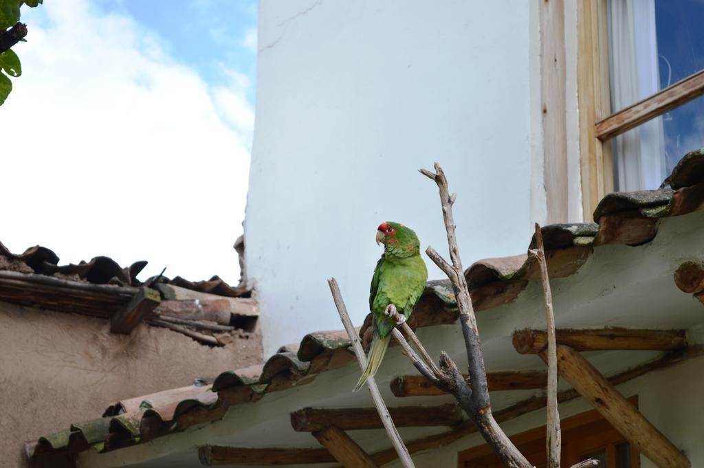 Casona La Recoleta Aparthotel Cuzco Eksteriør bilde